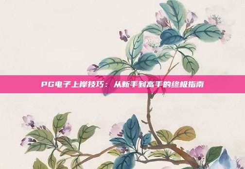 PG电子上岸技巧:从新手到高手的终极指南