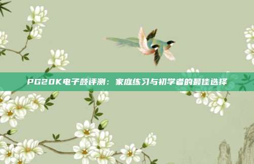 PG20K电子鼓评测:家庭练习与初学者的最佳选择