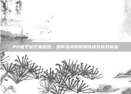 PG电子游艺加速器：如何选择和使用以提升游戏体验