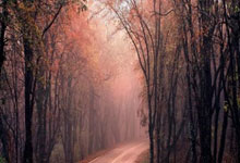 《PG老虎机玩法全攻略：从入门到爆奖的终极指南》