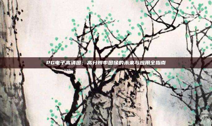 PG电子高清图：高分辨率图像的未来与应用全指南
