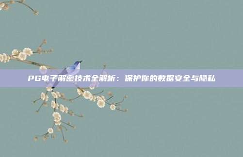 PG电子解密技术全解析:保护你的数据安全与隐私
