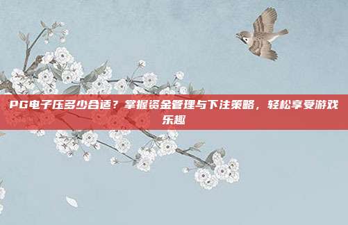 PG电子压多少合适？掌握资金管理与下注策略，轻松享受游戏乐趣