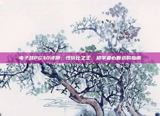 电子鼓PG30评测：性价比之王，初学者必看选购指南