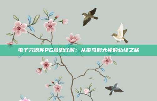 电子元器件PG意思详解:从菜鸟到大神的必经之路