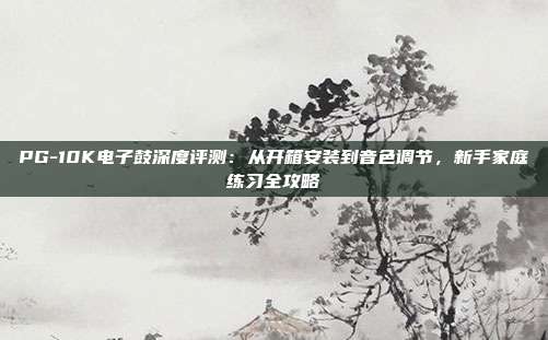 PG-10K电子鼓深度评测:从开箱安装到音色调节,新手家庭练习全攻略