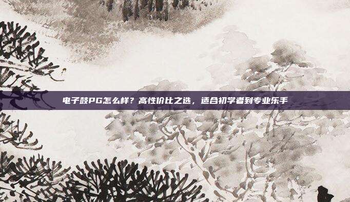 电子鼓PG怎么样？高性价比之选，适合初学者到专业乐手