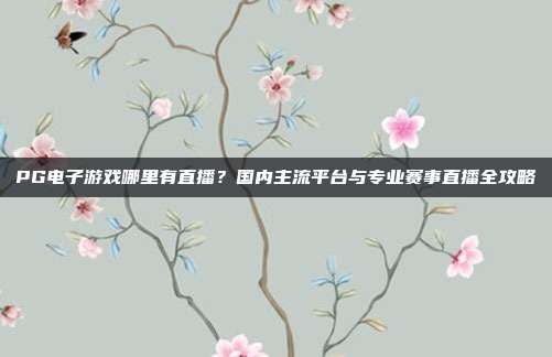 PG电子游戏哪里有直播？国内主流平台与专业赛事直播全攻略
