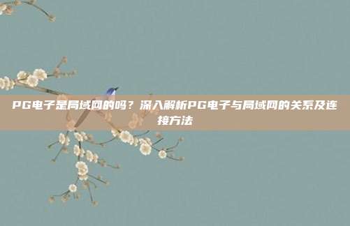 PG电子是局域网的吗?深入解析PG电子与局域网的关系及连接方法
