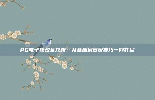 PG电子修改全攻略:从基础到高级技巧一网打尽